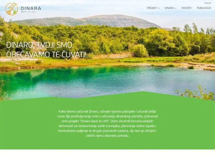Dinara – back to life