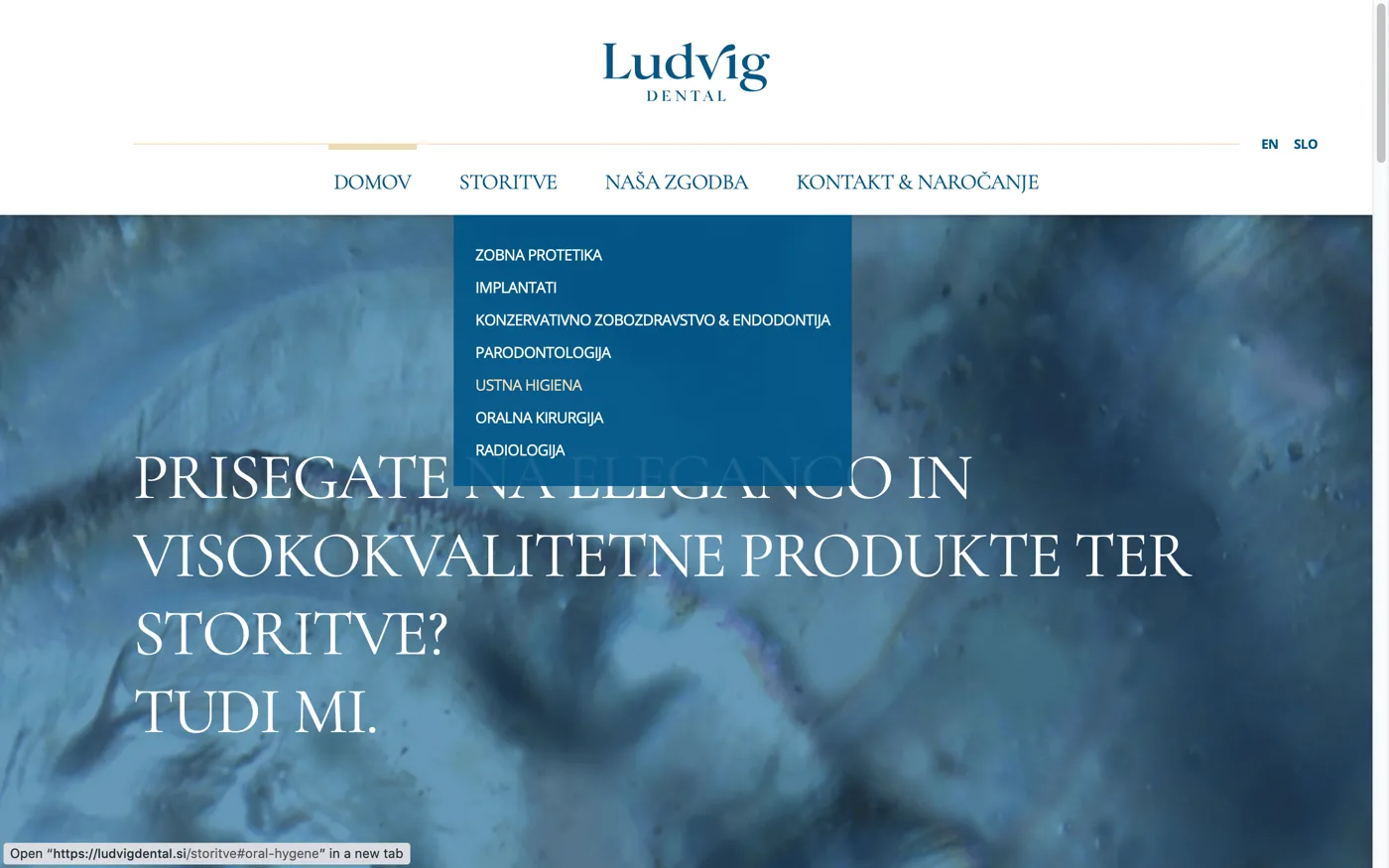 Ludvig Dental – 2