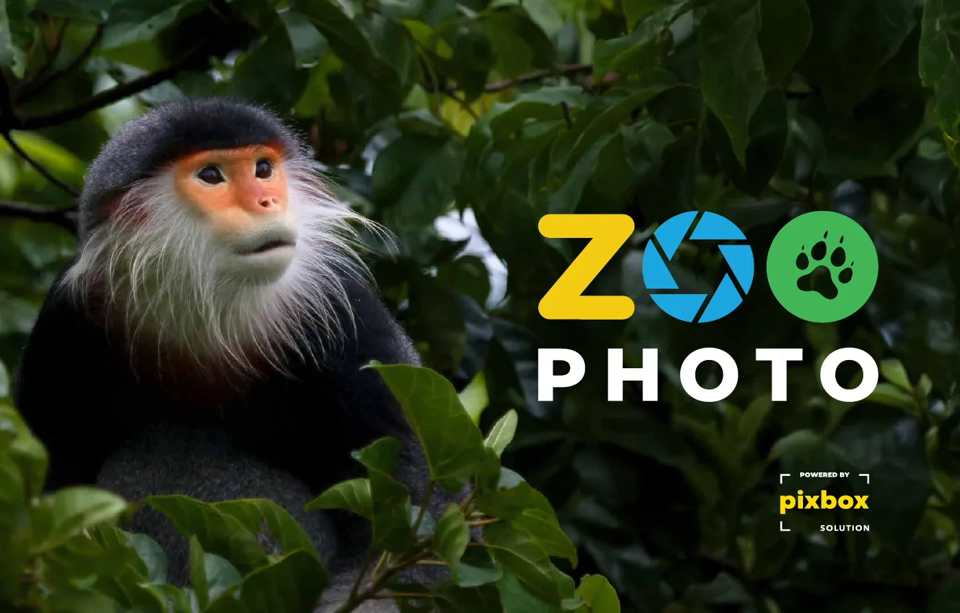 Zoo Photo – photo booths & catalogue – 8